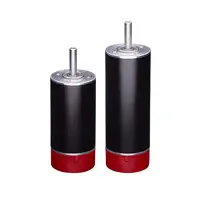 ElectroCraft RPX32, BLDC Motor
